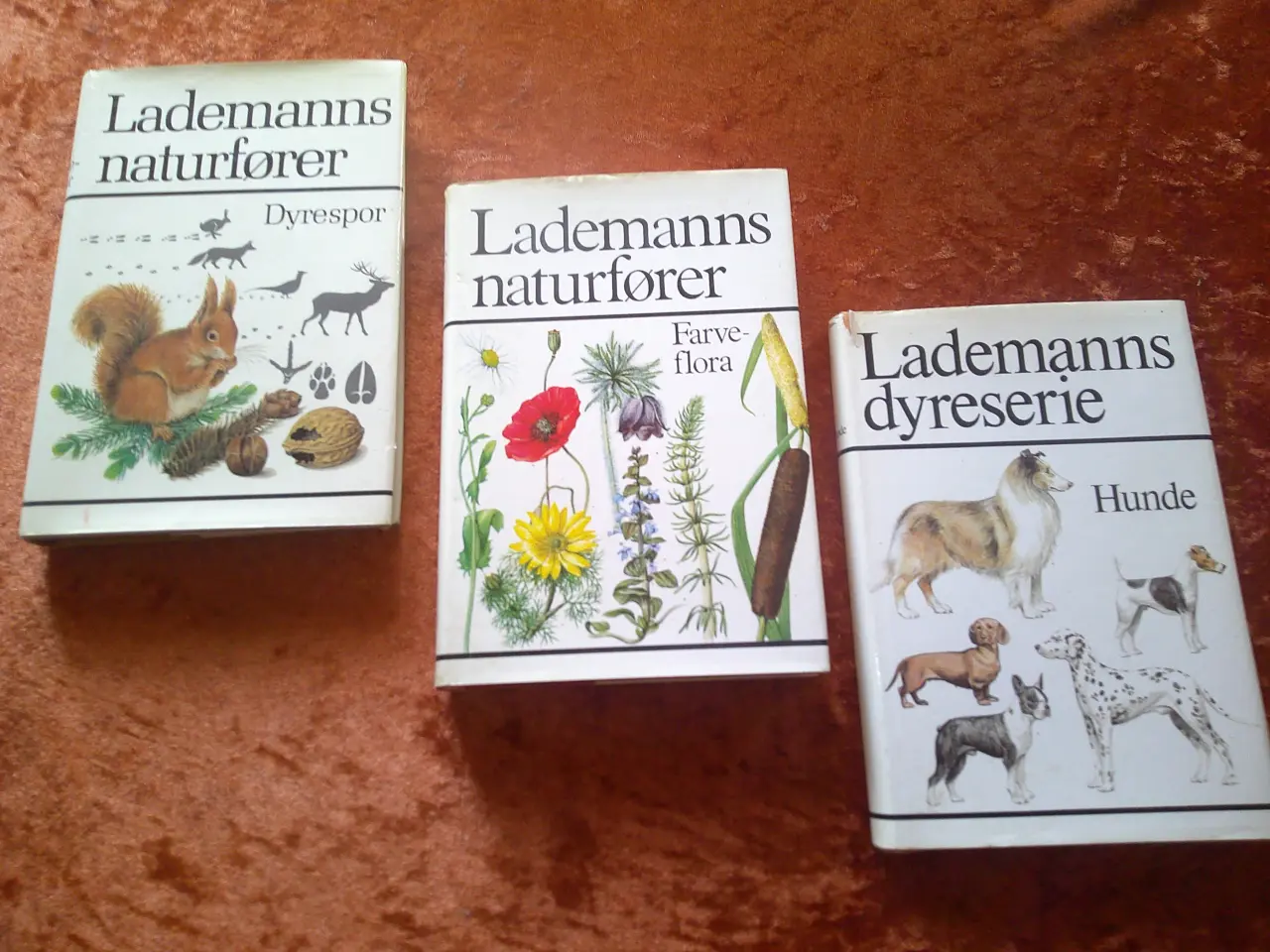 Billede 1 - Lademanns naturfører