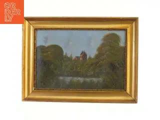 Maleri med gylden ramme (str. 34x46 cm)