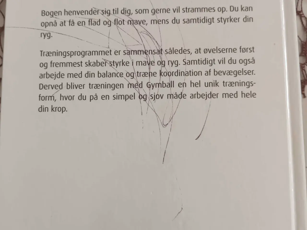 Billede 2 - Flad mave & stærk ryg med gymball