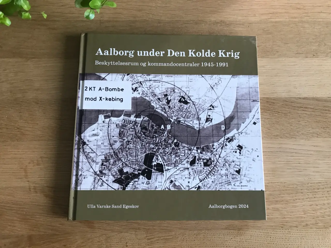 Billede 1 - Aalborg under Den Kolde Krig - Aalborgbogen 2024