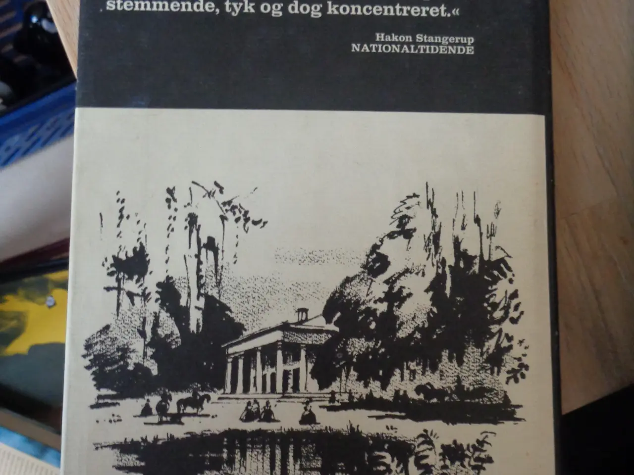 Billede 3 - Borte med blæsten