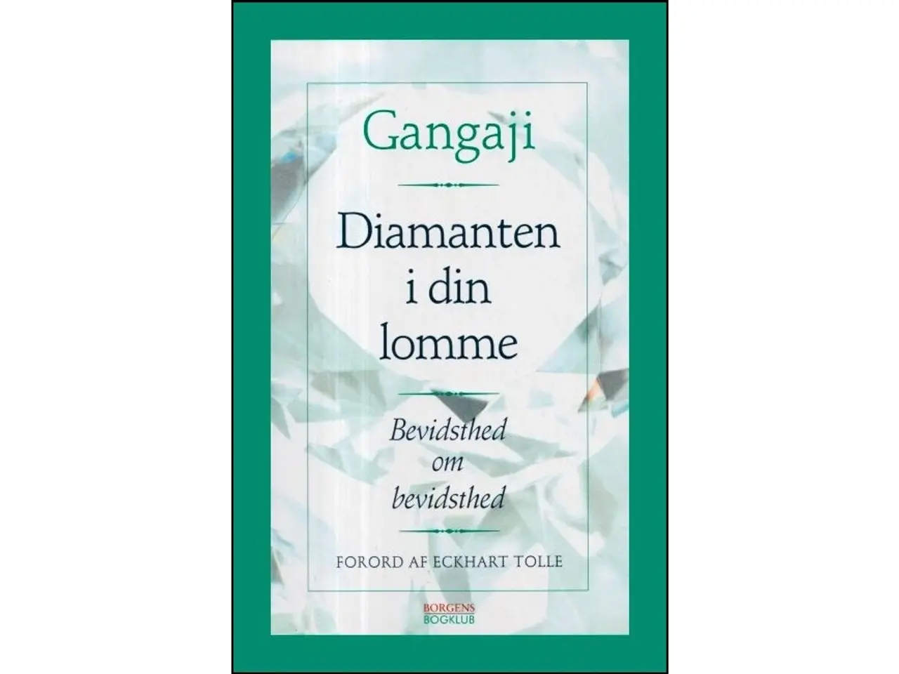 Billede 1 - Diamanten i din lomme - Bevisthed om bevisthed