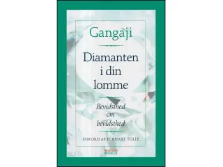 Diamanten i din lomme - Bevisthed om bevisthed
