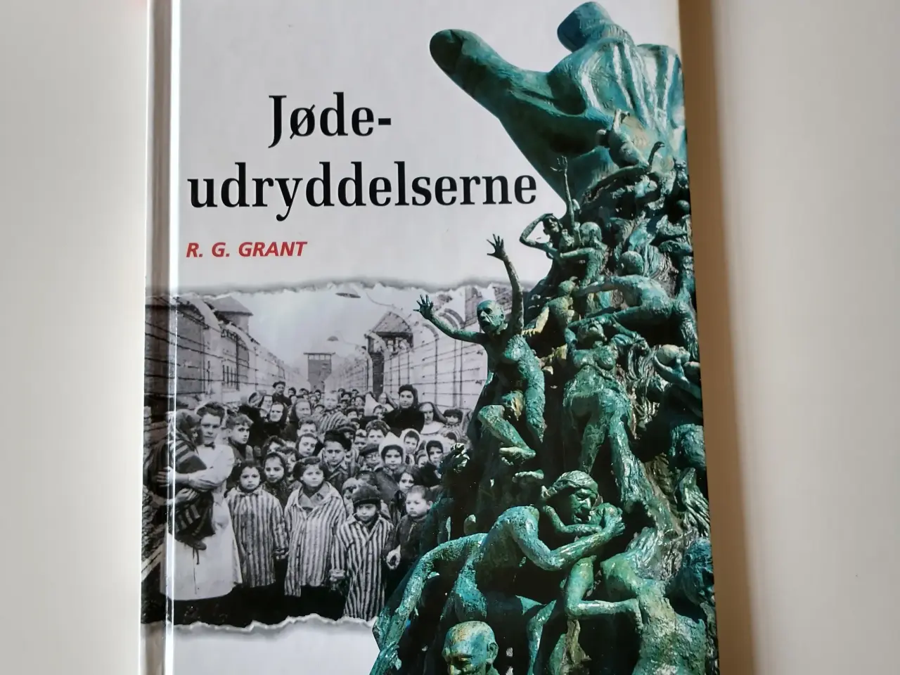 Billede 1 - Jødeudryddelserne. Af R. G. Grant