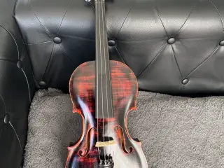 Violin