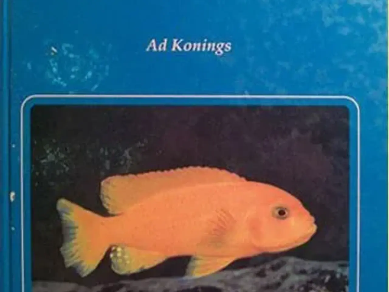 Billede 3 - Malawi Cichlids bøger, tysk - engelsk