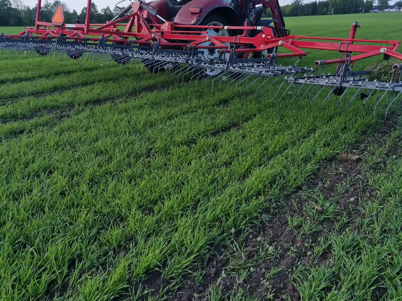 Billede 1 - Unia 12meter ukrudt strigel