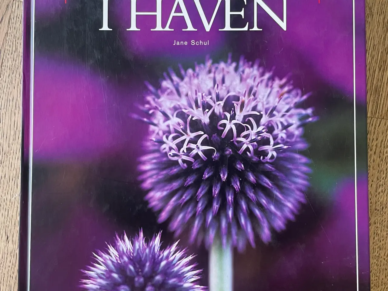 Billede 1 - Farver i haven, Jane Schul