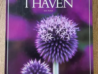 Farver i haven, Jane Schul