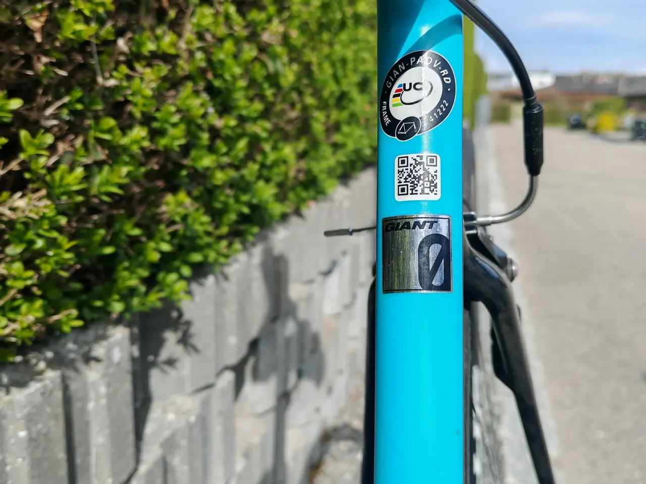 Billede 6 - Giant Propel Advanced 0