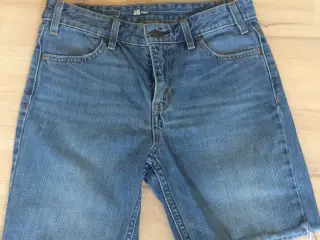 Levis str. 26
