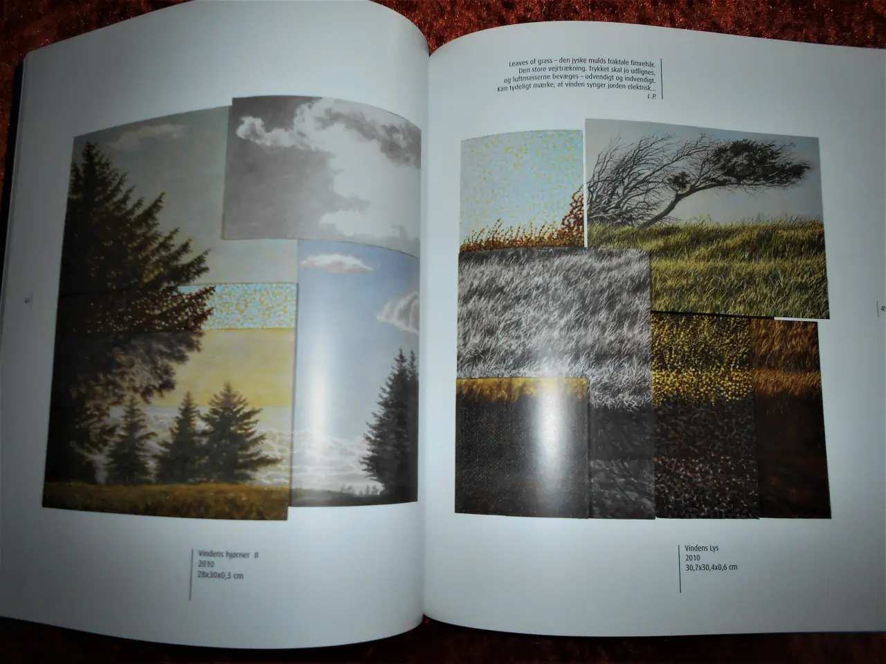 Billede 2 - Simultan perception, Lars Physant
