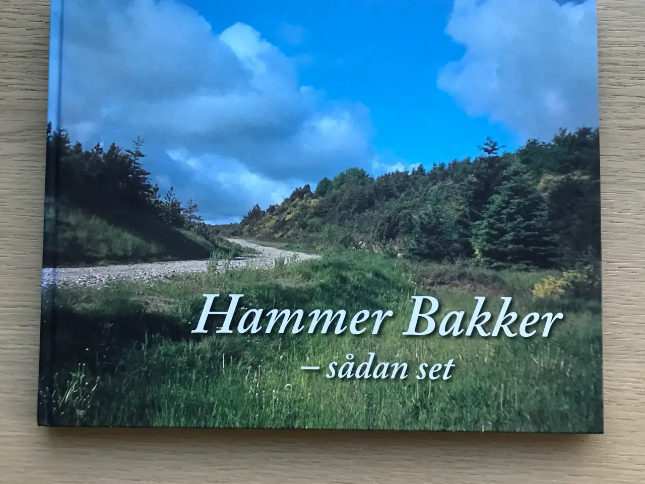 Billede 1 - Hammer Bakker - sådan set