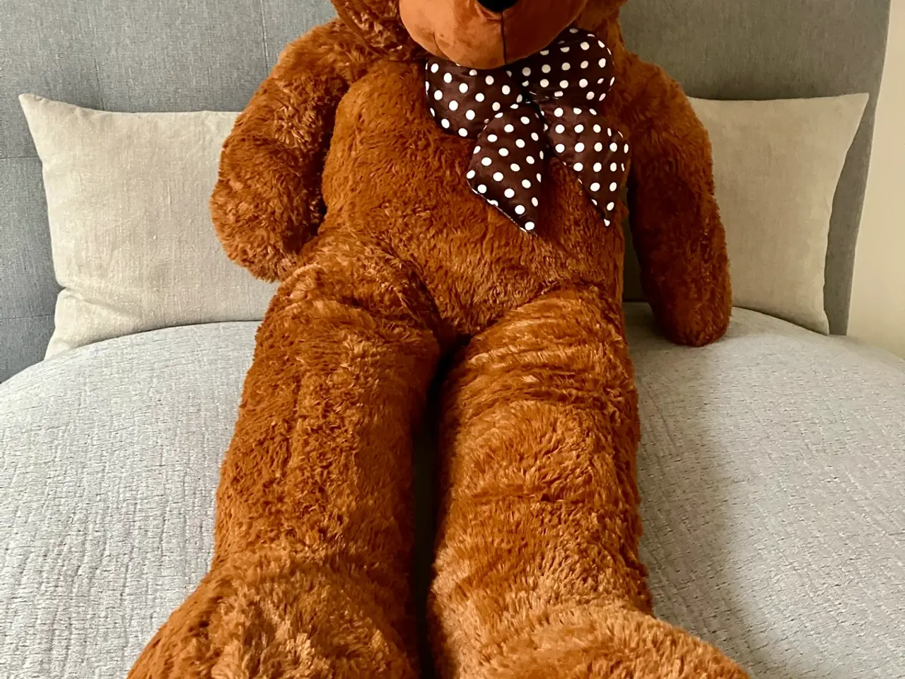 Billede 2 - mega bamse, mere til udstilling og overraskelser e