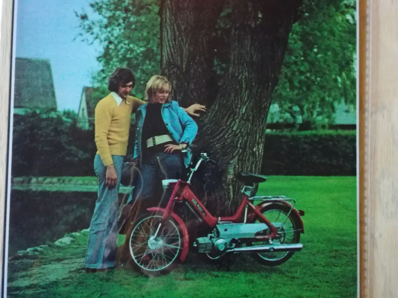 Billede 4 - puch maxi, puch mz50, puch monza juvel, puch ms50