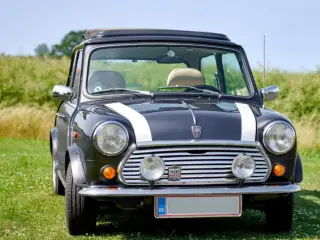 Mini Kensington