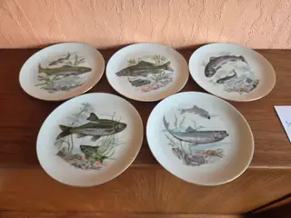 5 fine fisketallerkener fra Sue Ceram Japan