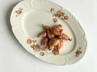 Fad, creme m orange blomster og blå kant