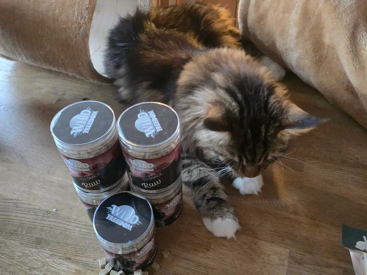 Billede 5 - LÆKKERIER TIL KATTEN