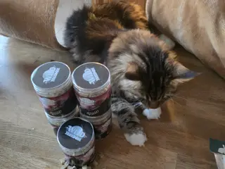 LÆKKERIER TIL KATTEN - 5