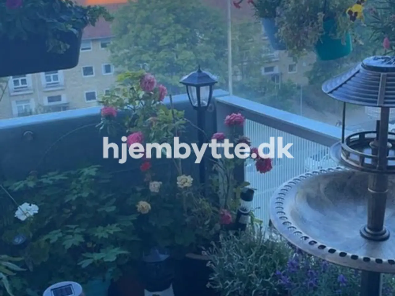Billede 8 - Hjembytte - Grønnevej