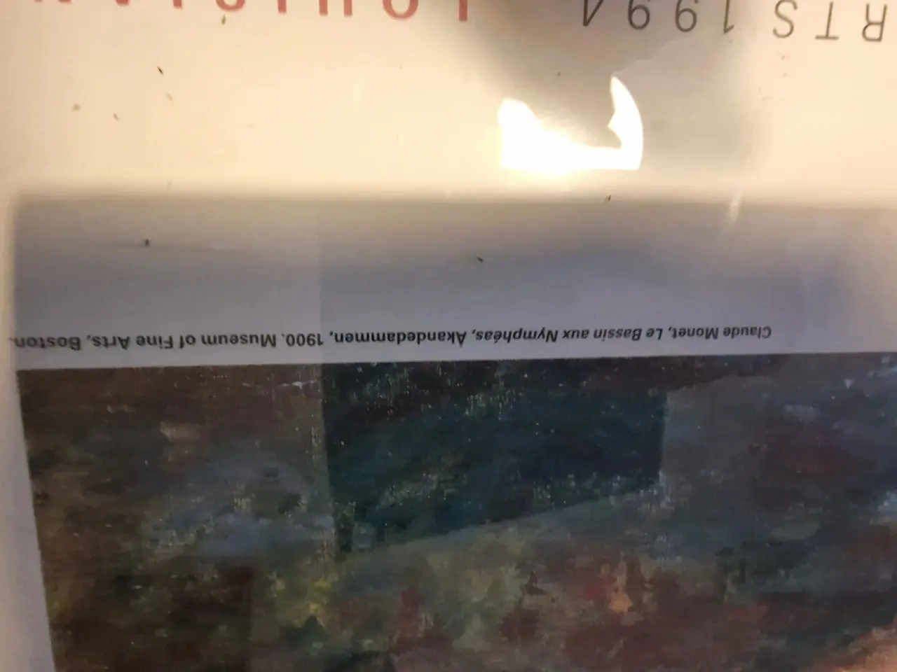 Billede 5 - Plakat CLAUDE MONET ÅKANDEDAMMEN