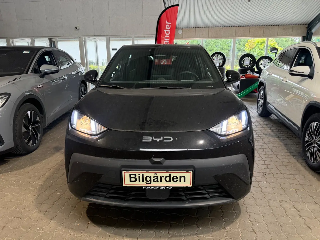 Billede 1 - BYD Dolphin Surf 43 Boost