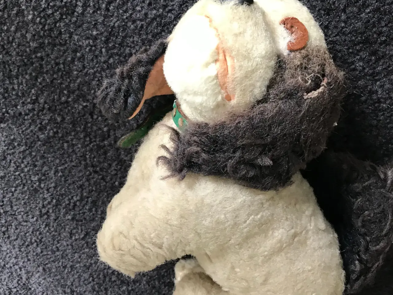 Billede 2 - Gammel bamse - hund