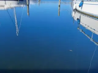 Bådplads i Øer Marina ved Ebeltoft