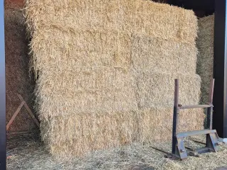 Halm sælges