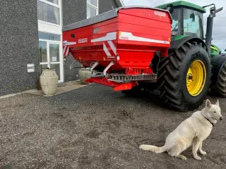 - - - MASCHIO GASPARDO PRIMO EW