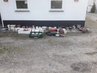 urtepotter til ude og inde