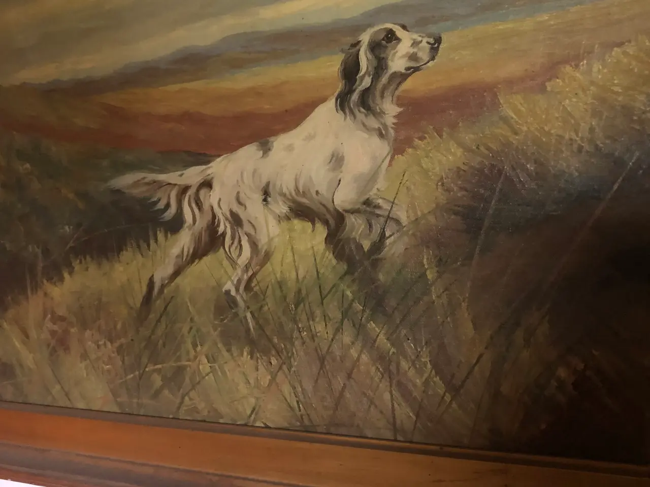 Billede 3 - Engelsk Setter malerier 