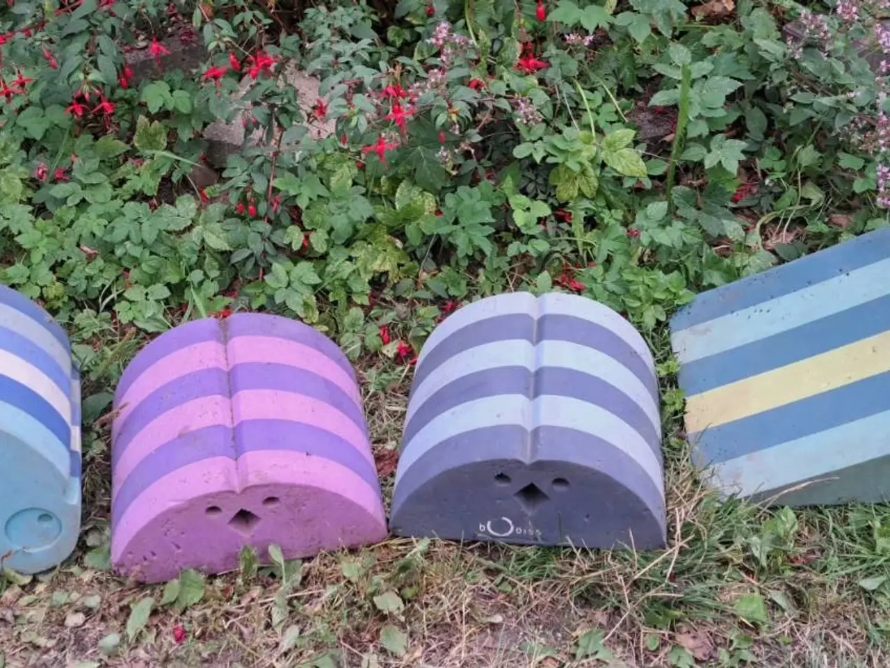 Billede 2 - Bobles 