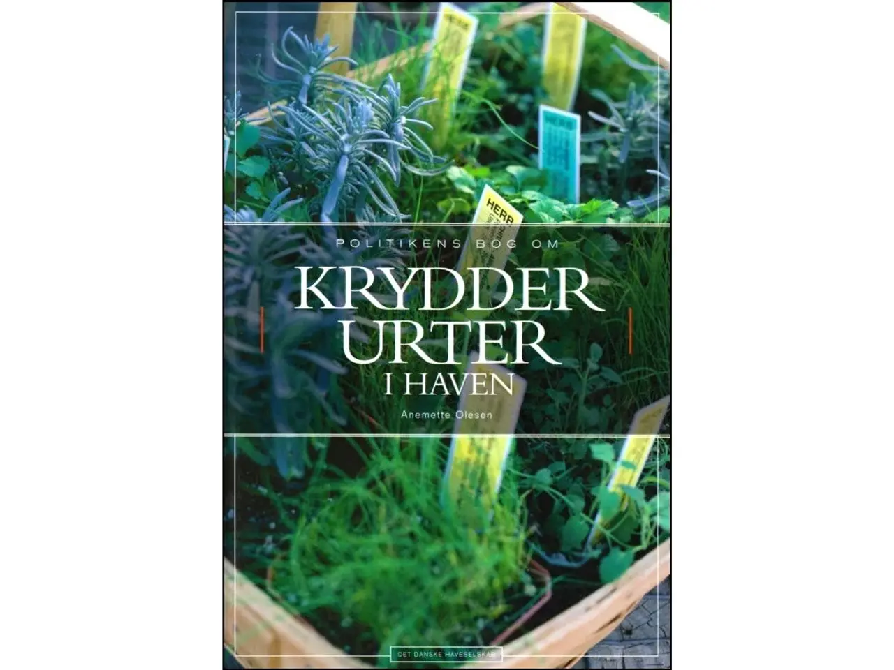 Billede 1 - Krydderurter i Haven