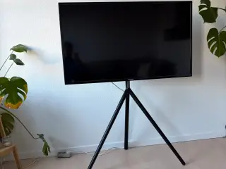 Philips 50” skærm med fjernbetjening