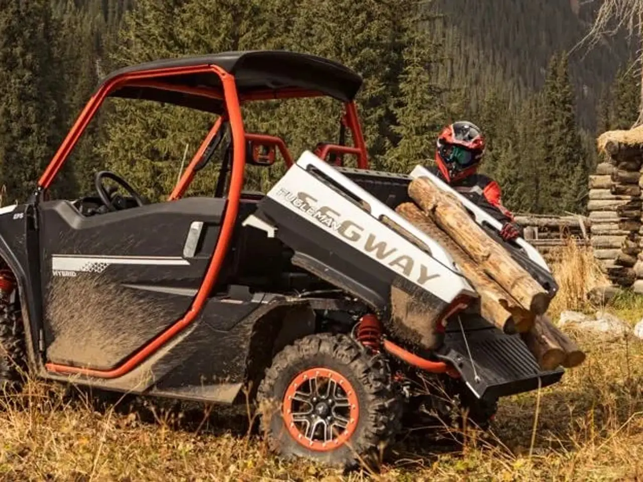 Billede 4 - Segway Fugleman 1000cc