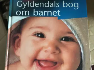 Bogen om barnet