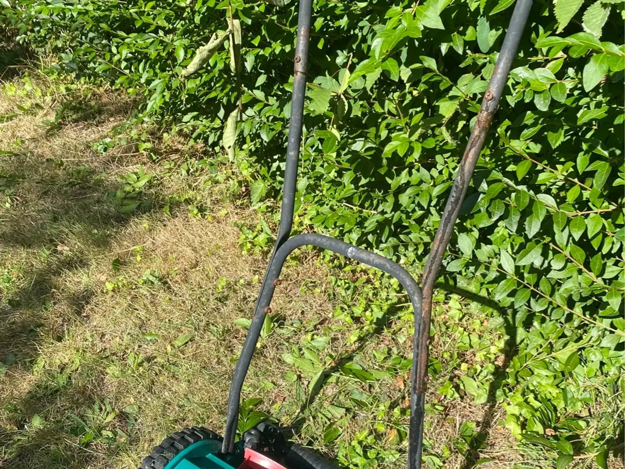 Billede 1 - Bosch AHM 30 håndskubber plæneklipper