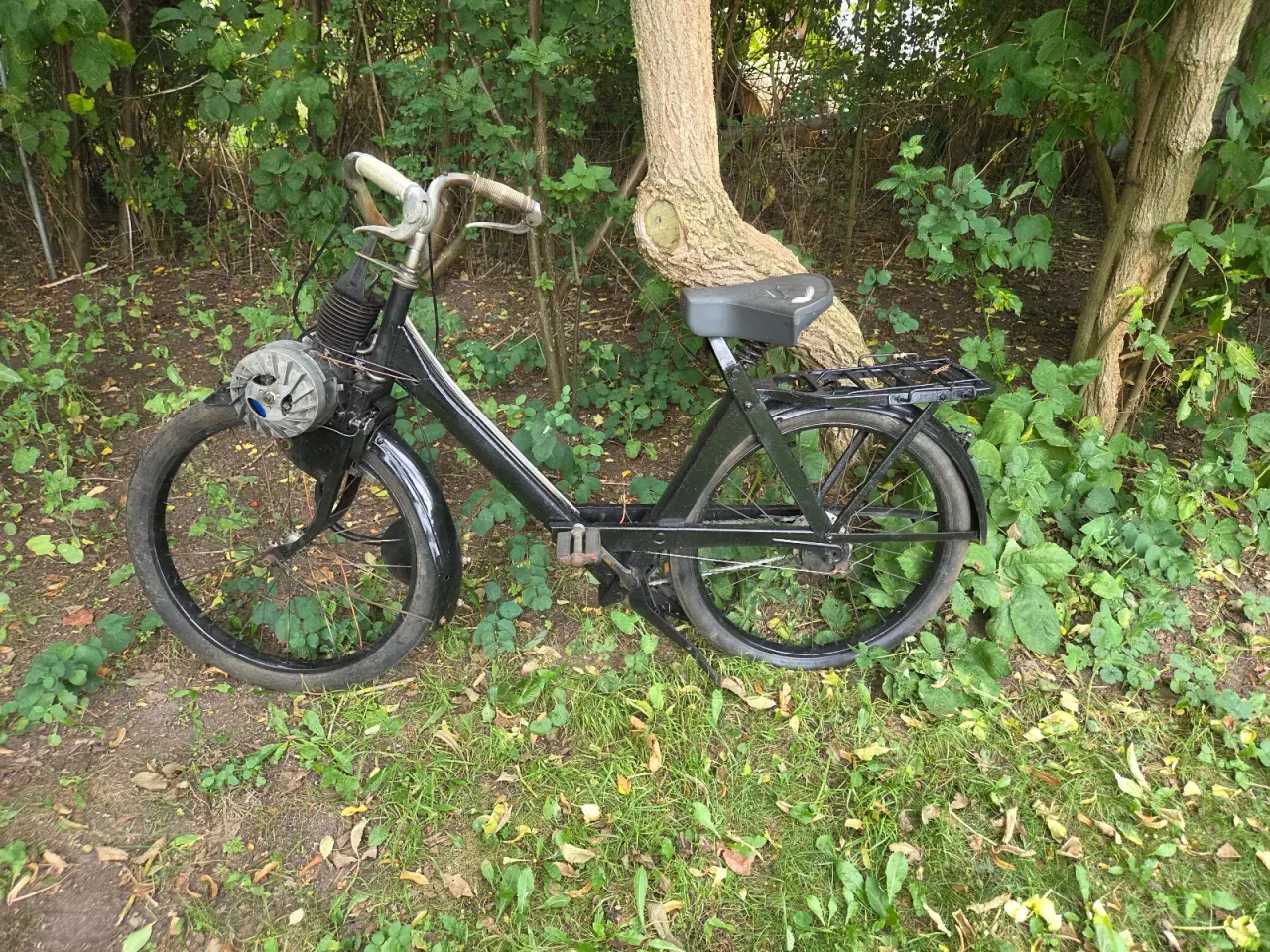 Billede 1 - Velo solex 3800