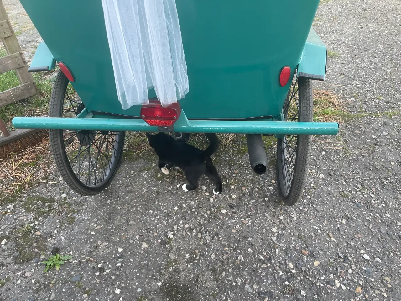 Billede 3 - Rickshaw med benzin motor