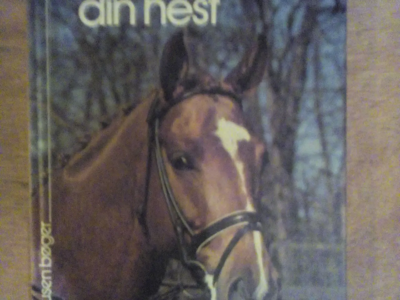 Billede 8 - Diverse hestebøger, priser fra 20 kr.