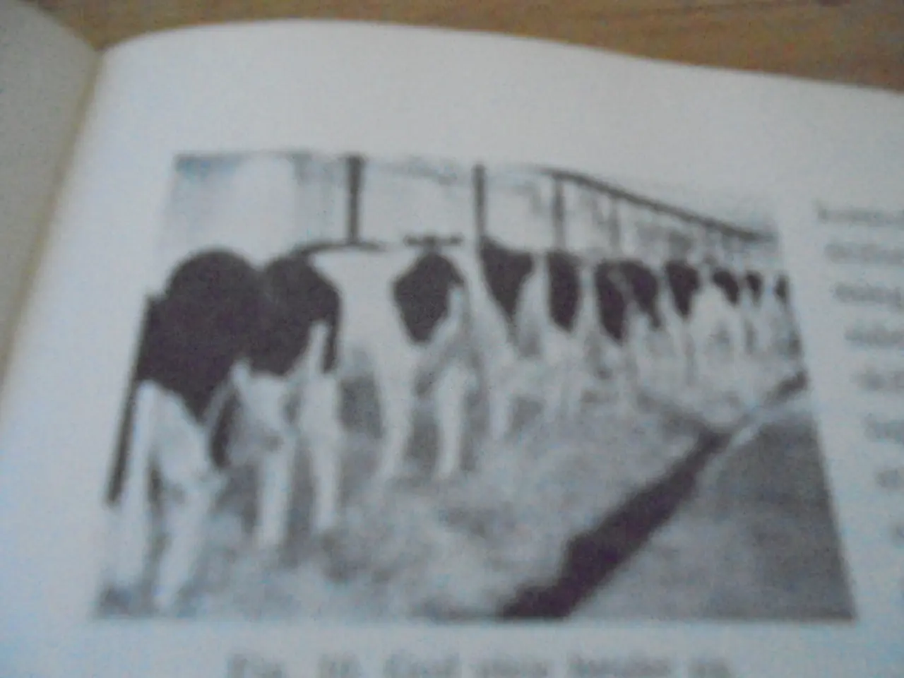 Billede 2 - Alt det nyeste 1966-67 – Landbrug, havebrug og hus
