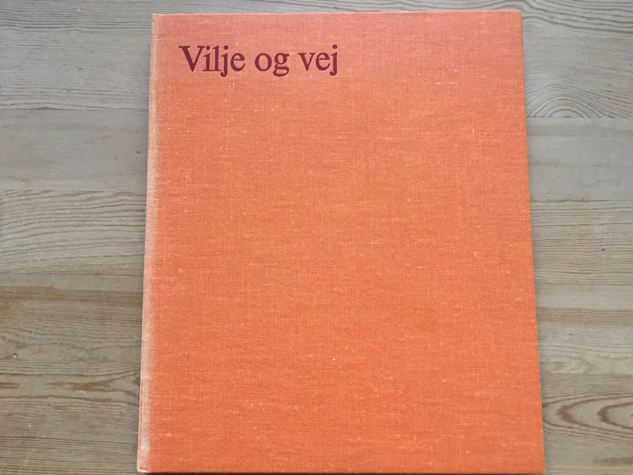 Billede 1 - Vilje og vej