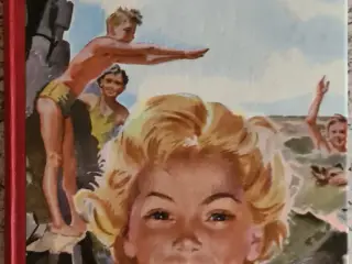 Enid Blyton De fem på nye eventyr Bog