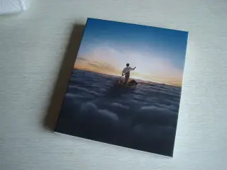 PINK FLOYD - the endless river