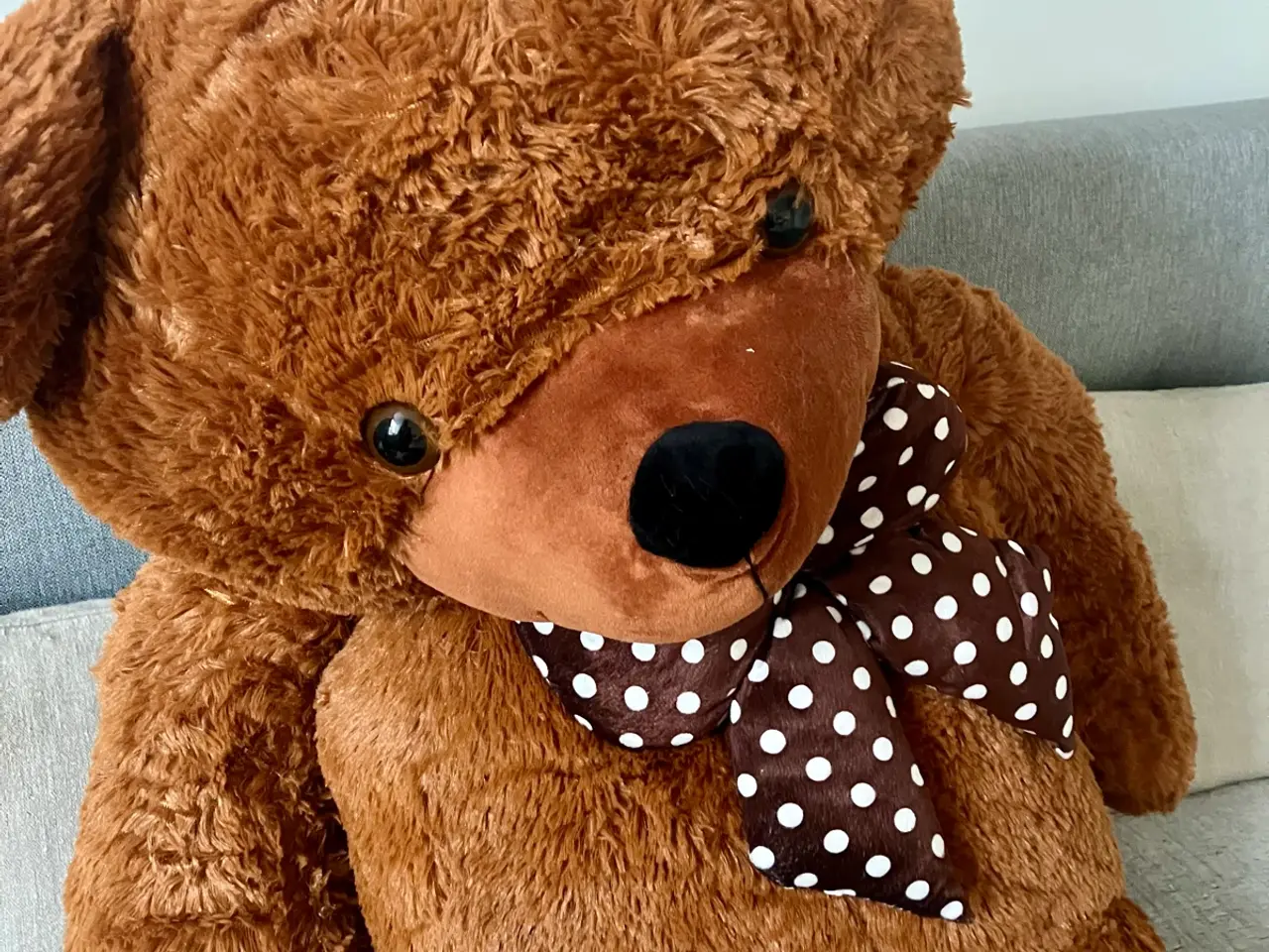 Billede 1 - mega bamse, mere til udstilling og overraskelser e