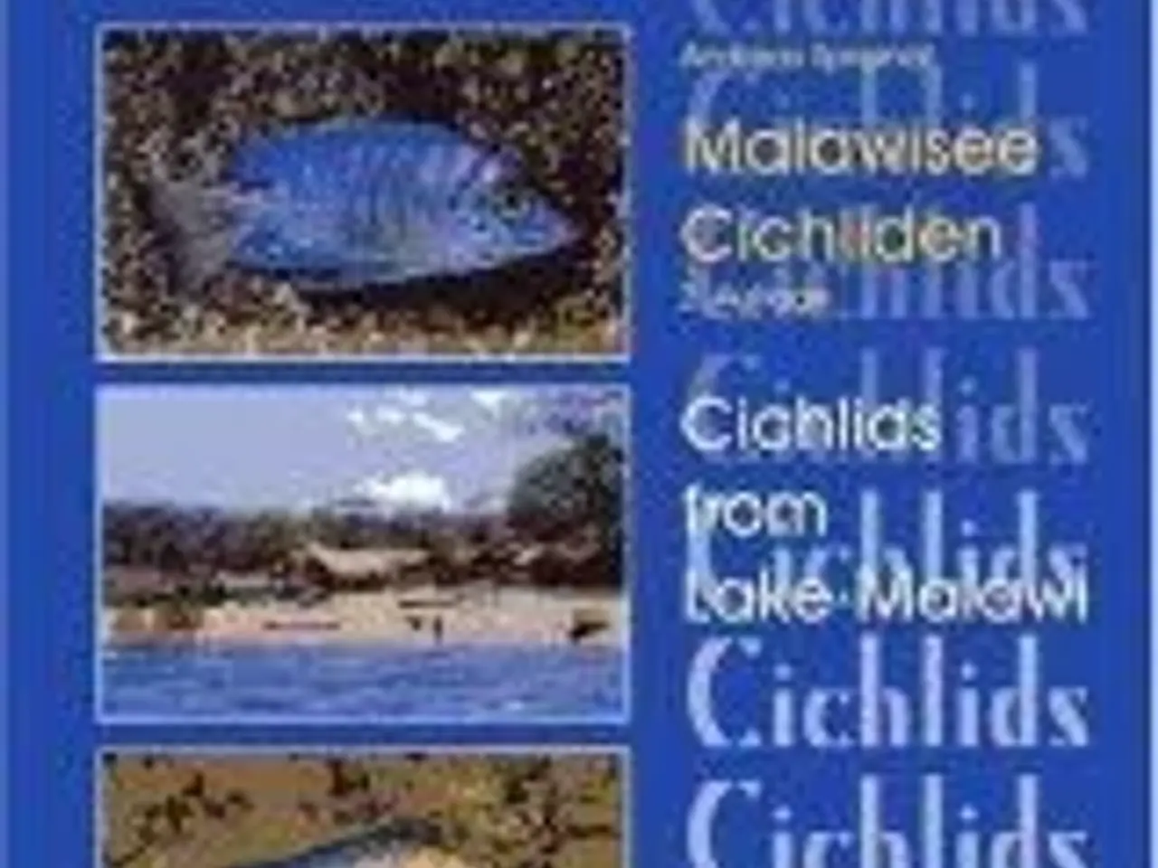 Billede 10 - Malawi Cichlids bøger, tysk - engelsk