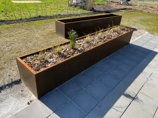 Plantekasse i Cortin stål