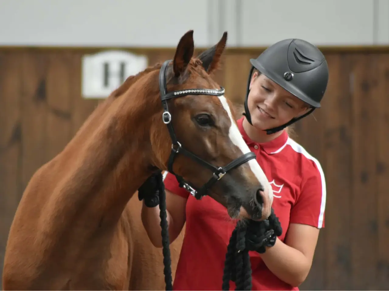 Billede 8 - Dansk varmblod hingst